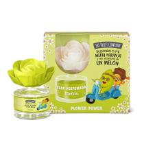 THE FRUIT COMPANY 10320021 - FLOR DIFUSORA MELON 50ML