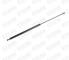 STARK AUTOMOTIVE SKGS0220046 - AMORTIGUADOR MALETERO