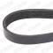 STARK AUTOMOTIVE SK6PK1123 - CORREA TRAPECIAL POLI V